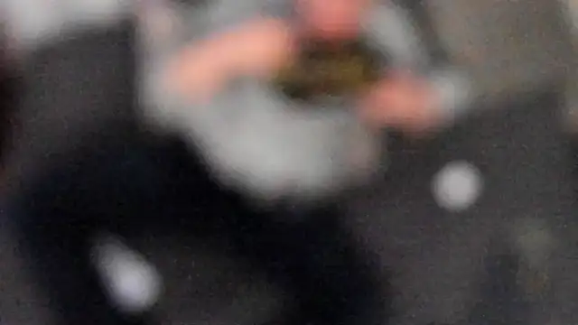 stillwild online show from 02.06.25