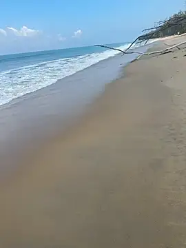 Snapshot of sexntease chatting on 03.05.25 sexntease online show from 03.05.25