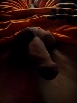 Luiz 097 online show from 09.13.25