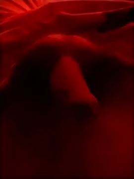 Luiz 097 online show from 01.15.26