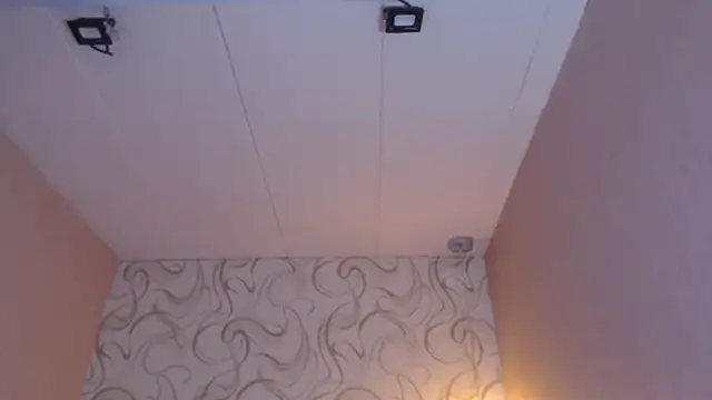 Snapshot of LiaHarryis chatting on 03.15.25 LiaHarryis online show from 03.15.25