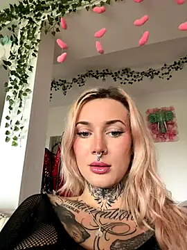 Stella-Kink online show from 10.11.25