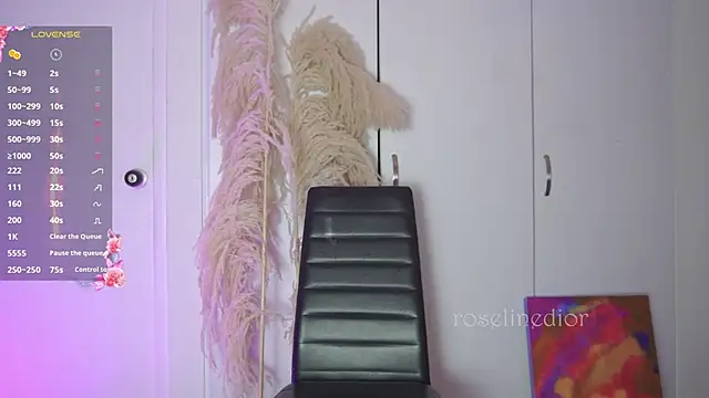 roselinedior online show from 11.12.25