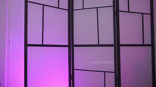 roselinedior online show from 02.27.26