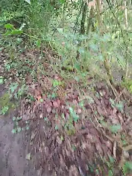 FreezingTie850 online show from 04.14.26