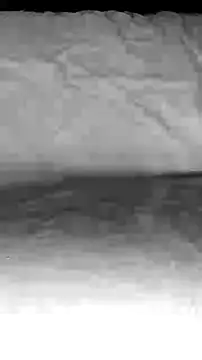 Snapshot of BigAssKi chatting on 02.03.25 BigAssKi online show from 02.03.25