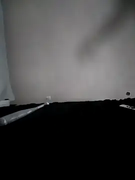 Snapshot of BigAssKi chatting on 03.02.25 BigAssKi online show from 03.02.25