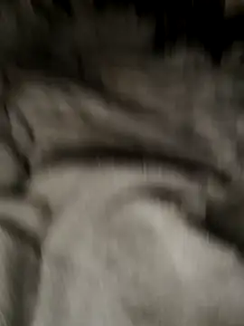 Tigerhill2023 online show from 10.27.25