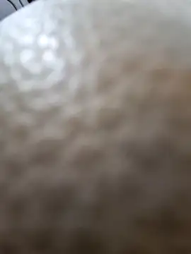 Snapshot of Kamarasa69 chatting on 12.18.25 Kamarasa69 online show from 12.18.25