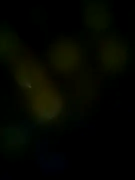 Snapshot of LongDickZee562 chatting on 03.08.25 LongDickZee562 online show from 03.08.25