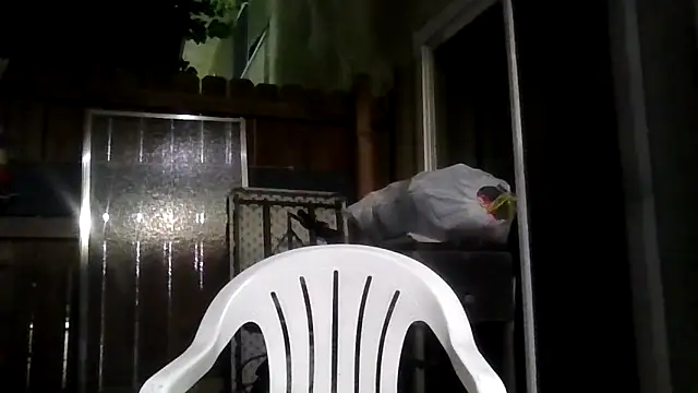 Snapshot of MrDickUdown24_7 chatting on 02.09.26 MrDickUdown24 7 online show from 02.09.26