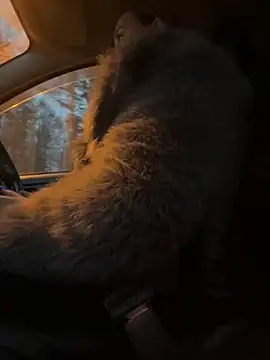 StasyWood online show from 11.27.25