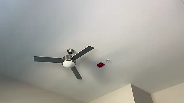 ElenaErickson online show from 03.19.25