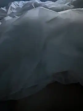 Pongobongo40 online show from 02.26.26