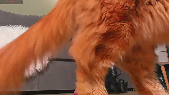 mistresslecter online show from 03.22.26