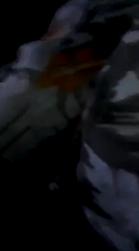 Bite spectaculaire online show from 02.03.25