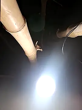 HotSexyBoudi online show from 02.26.26