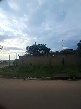 Petrossa online show from 11.29.25