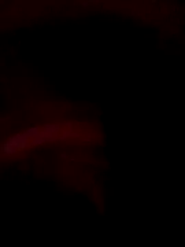 ySqmbVanbe online show from 12.14.25