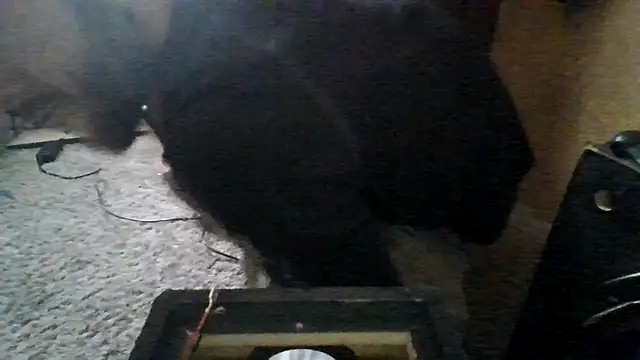 ySqmbVanbe online show from 03.15.26