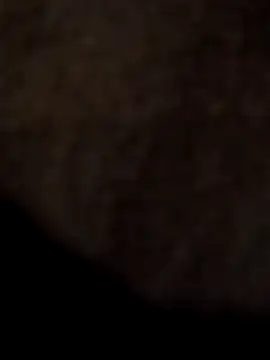 ySqmbVanbe online show from 04.11.26