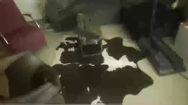 oopsxx online show from 12.22.25