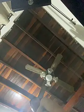 tom thick online show from 12.20.24