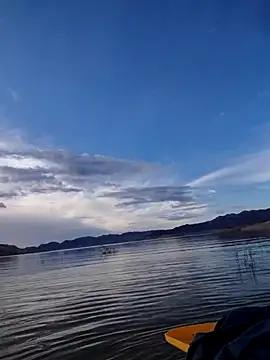 FloppyPickle4u online show from 02.13.26