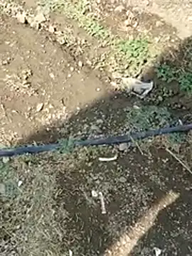 Snapshot of DADDY69SS chatting on 02.08.26 DADDY69SS online show from 02.08.26