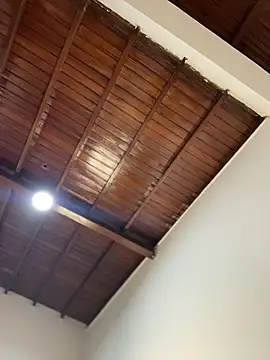 emiss  online show from 02.07.26