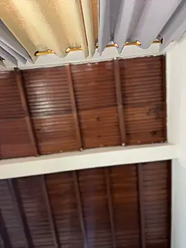 emiss  online show from 03.15.26