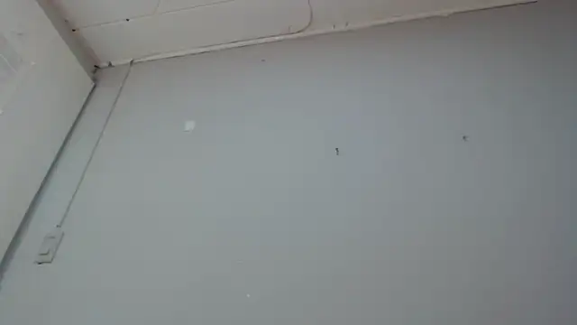 Emma-Wilson online show from 03.14.25