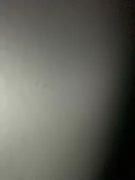 Leyna liu online show from 02.04.25