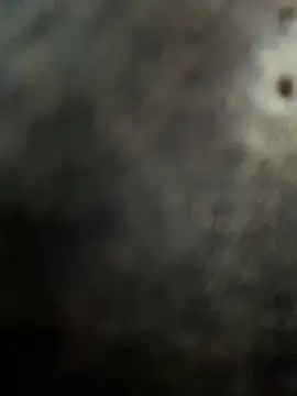 casalinga88 online show from 03.01.25