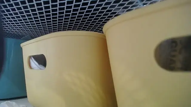 Snapshot of lovense_test04 chatting on 02.27.26 lovense test04 online show from 02.27.26