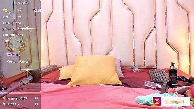 Snapshot of KiimLogan chatting on 02.05.25 KiimLogan online show from 02.05.25