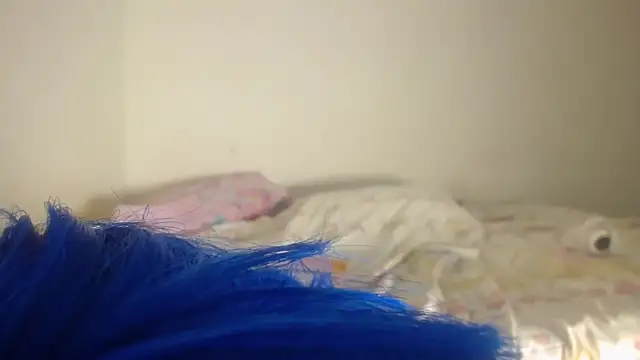 Snapshot of barbara_anal_squirt_ chatting on 05.16.26 barbara anal squirt online show from 05.16.26