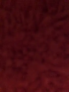 Snapshot of Kiss_me2507 chatting on 12.08.24 Kiss me2507 online show from 12.08.24