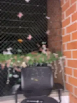 ValerieHilton online show from 01.12.25