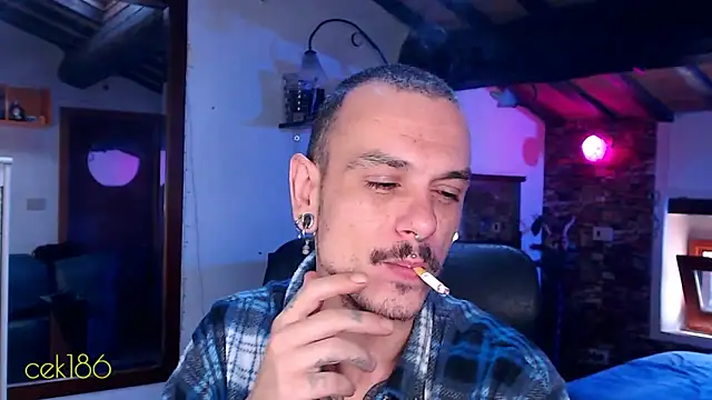 cek 186 online show from 11.08.25