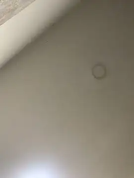 Zarah Blare online show from 01.14.25