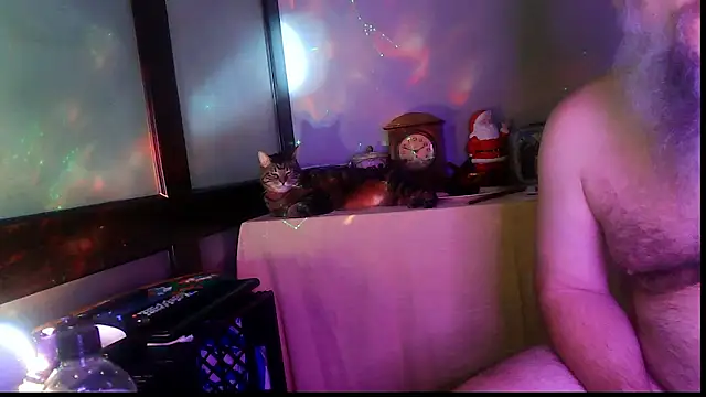 SexWorkerX online show from 01.06.26