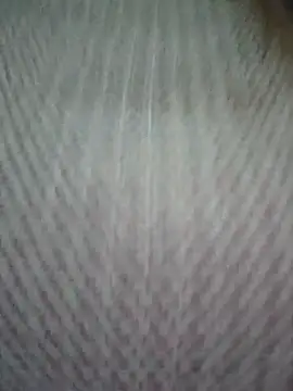 Snapshot of zizi_public chatting on 03.14.25 zizi public online show from 03.14.25