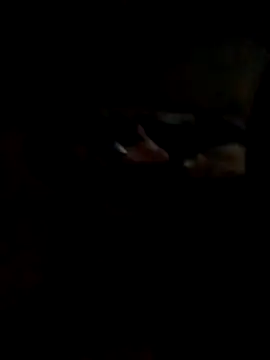 Hedygostozin online show from 03.14.26