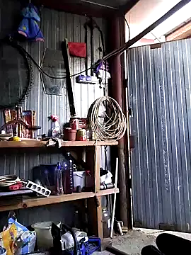 Sarpe84 online show from 12.22.24