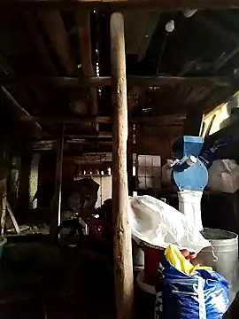 Sarpe84 online show from 01.19.25