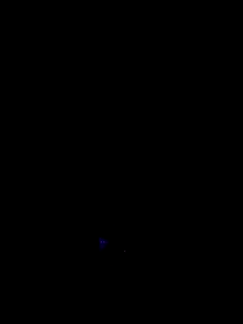 RIP Curl online show from 10.17.25