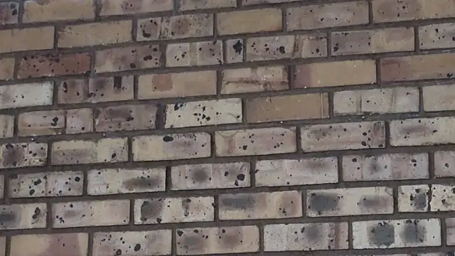 Astoria Moon online show from 12.21.24