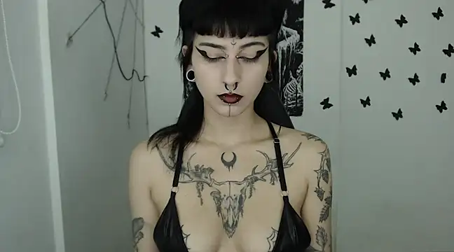 n0sferatus   online show from 02.14.25