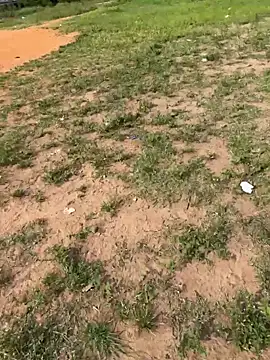 Black-mamba-madingo online show from 02.14.26